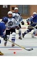 /album/fotogaleria/hokejbal-extraliga-jpg/